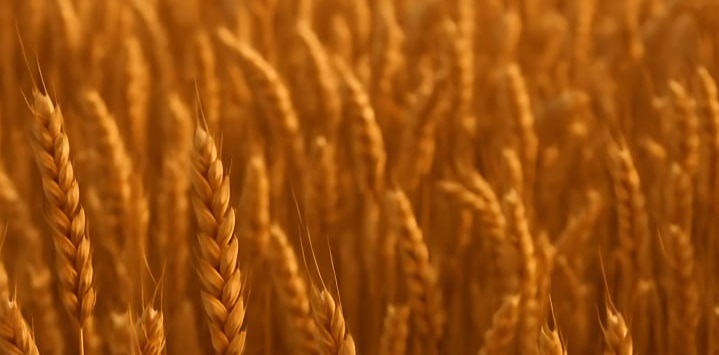 نماهنگ از دلتنگی برات بگم یا از بغض شبونه هام